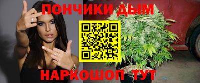 гидропоника Пенза