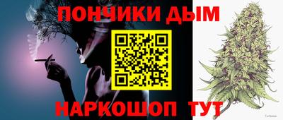 гидропоника Пенза