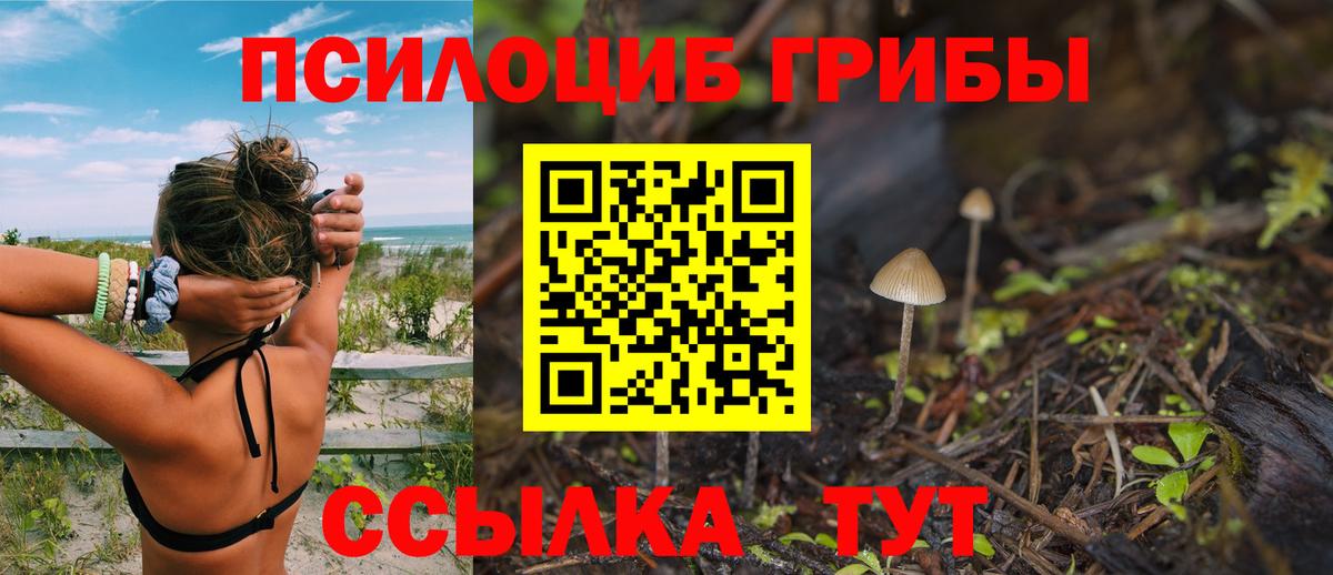 Галлюциногенные грибы Cubensis  Вход с VPN  Сергиев Посад  Галлюциногенные грибы прущие грибы 